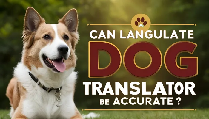 Can a Dog Language Translator Be Accurate? Can a Dog Language Translator Be Accurate?